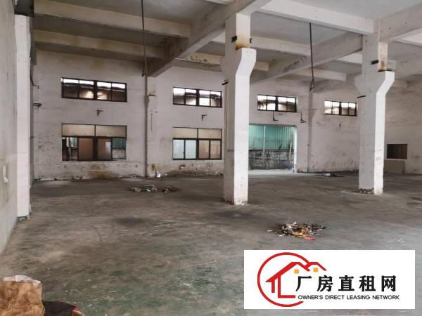  凤岗金凤凰新出一楼800厂房出租带牛角可办环评