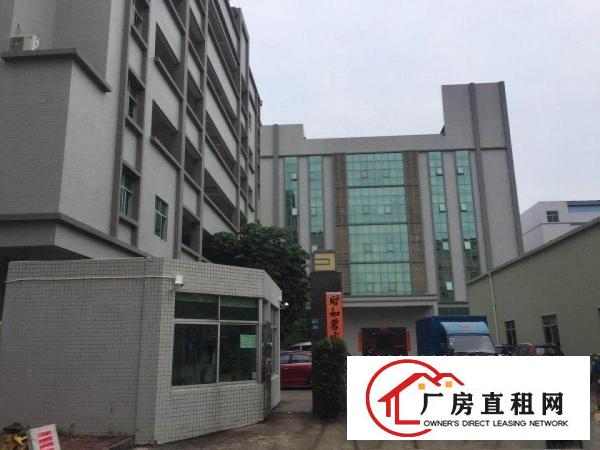  凤岗金凤凰新出一楼800厂房出租带牛角可办环评