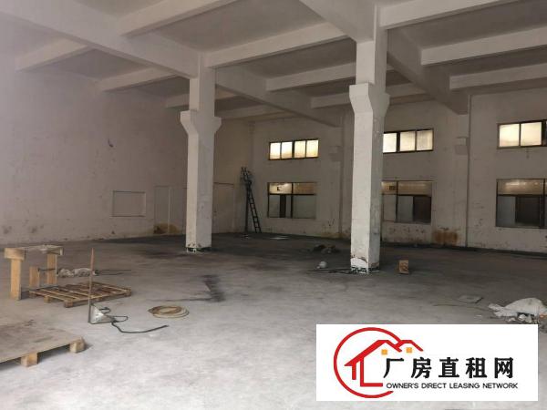  凤岗金凤凰新出一楼800厂房出租带牛角可办环评