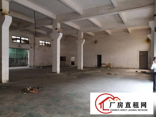  凤岗金凤凰新出一楼800厂房出租带牛角可办环评