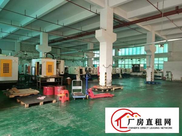  （出租）凤岗雁田新空出一楼1000平带牛角办公室现成水电