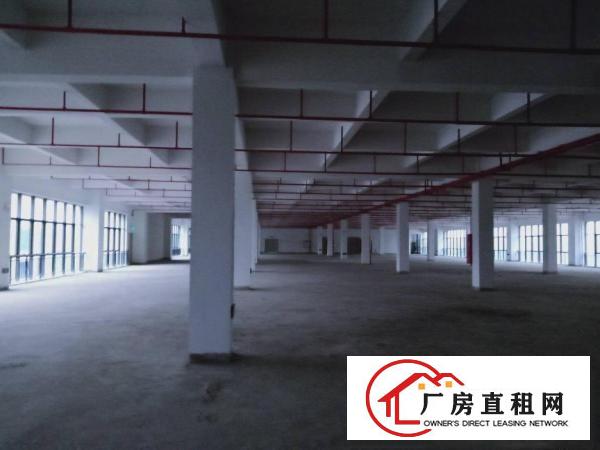  高新企业聚集地十五万平米招租单层2560平米起租
