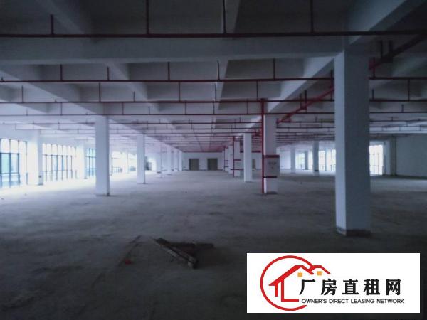  高新企业聚集地十五万平米招租单层2560平米起租