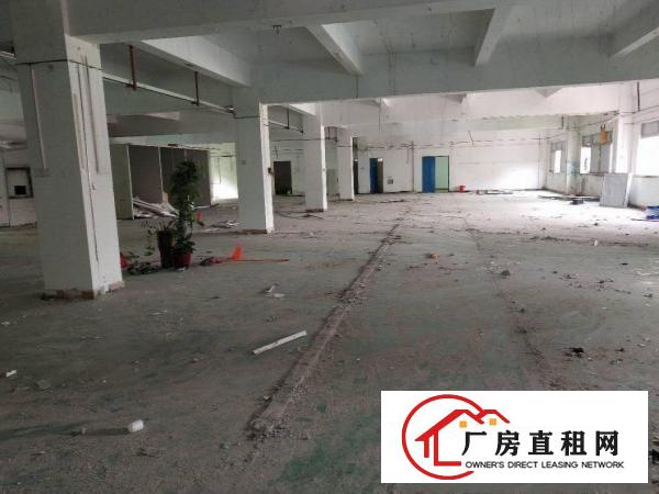  凤岗雁田小独院厂房4600平方可分租
