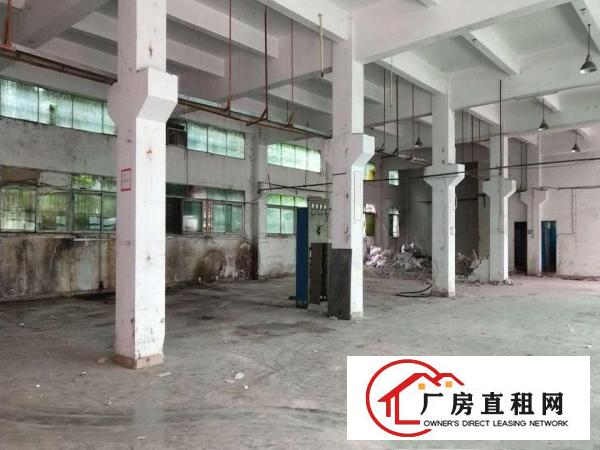  凤岗雁田小独院厂房4600平方可分租