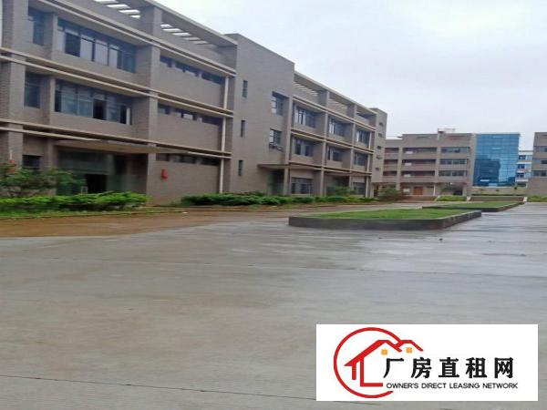  新出来豪华装修二楼电梯厂房1200平米标准厂房业主直租