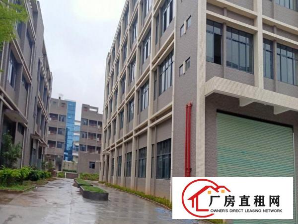  新出来豪华装修二楼电梯厂房1200平米标准厂房业主直租