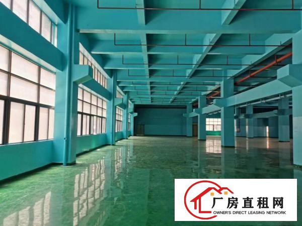  凤岗五联新出一楼2600平米带牛角水电到位厂房出租300起租