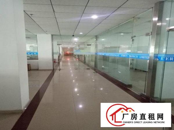  凤岗新出独院12000平方厂房招租可以分租