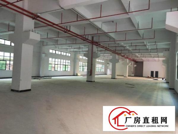  凤岗新出独院12000平方厂房招租可以分租