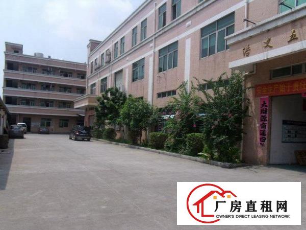  凤岗独院厂房3200平方带豪华装修招租