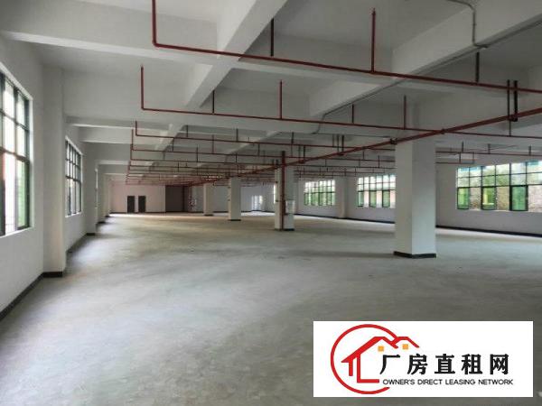  凤岗独院厂房3200平方带豪华装修招租