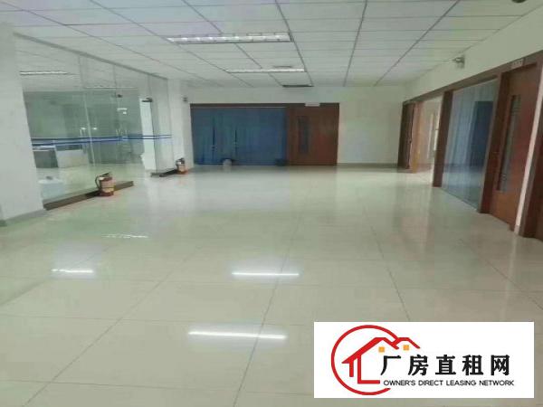  凤岗独院厂房3200平方带豪华装修招租