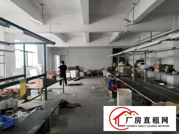  （直租）雁田独门独院6000厂房可分租500平方起带装修水电