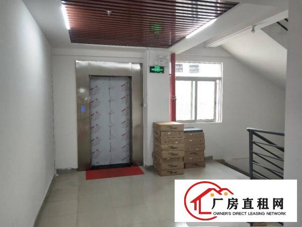  凤岗全新电商仓库出租，精装修，面积28至500平方不等，