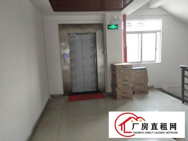 凤岗全新电商仓库出租，精装修，面积28至500平方不等，