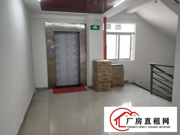  凤岗全新电商仓库出租，精装修，面积28至500平方不等，