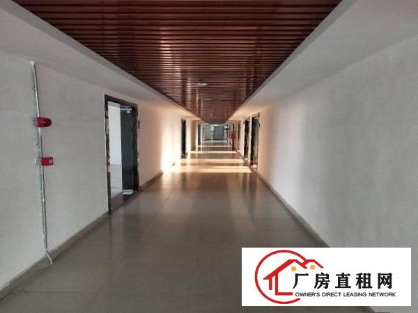  凤岗全新电商仓库出租，精装修，面积28至500平方不等，