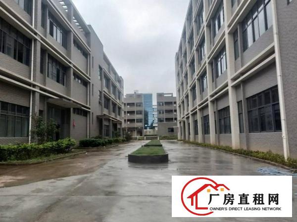  凤岗镇碧湖大道厂房出租，单层面积1800和2500平方可分租