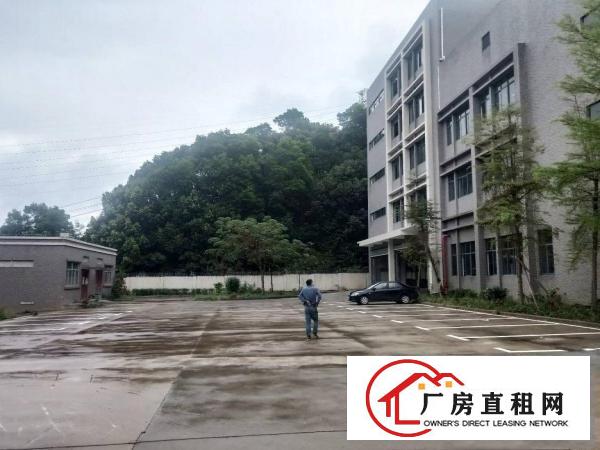  凤岗镇碧湖大道厂房出租，单层面积1800和2500平方可分租