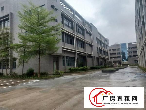  凤岗镇碧湖大道厂房出租，单层面积1800和2500平方可分租