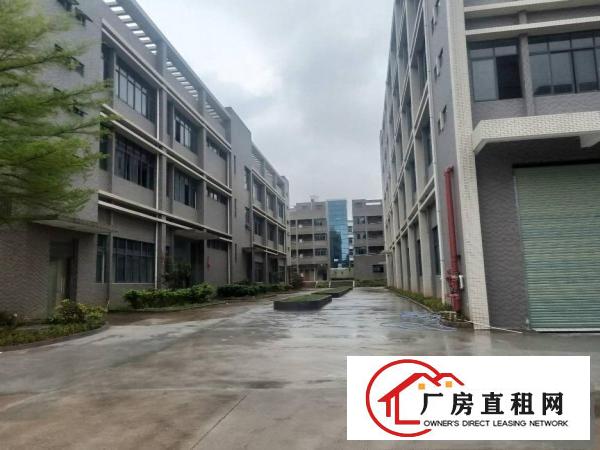 凤岗镇碧湖大道厂房出租，单层面积1800和2500平方可分租