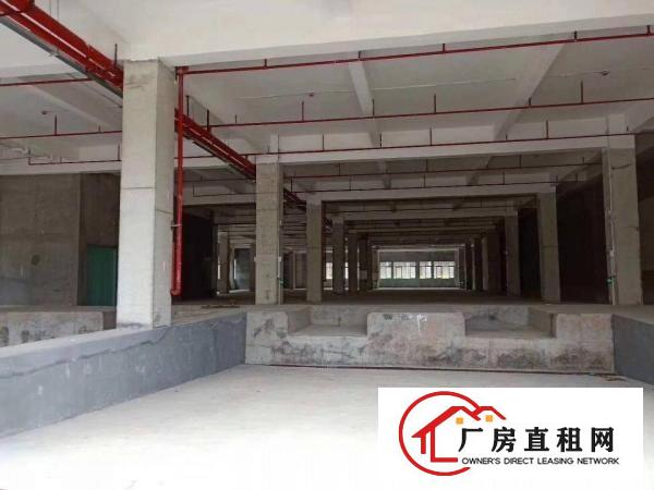  凤岗镇碧湖大道厂房出租，单层面积1800和2500平方可分租
