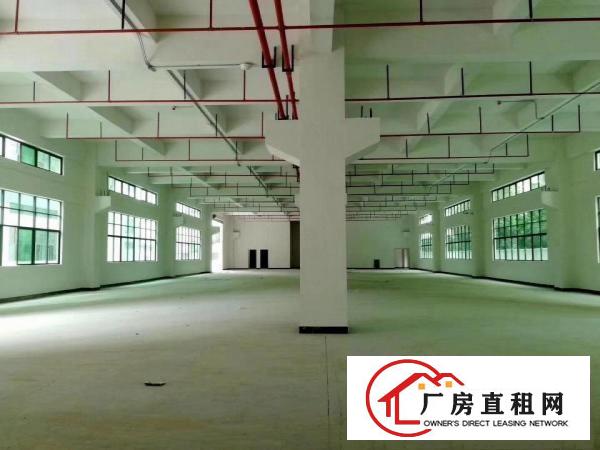  雁田月底空出3000平方独院厂房出租可分租