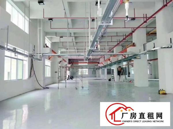  新出独院3900平方厂房出租可以分租