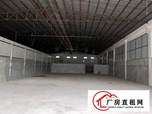  出租清溪铁松新出单一层厂房900平方可以分一半