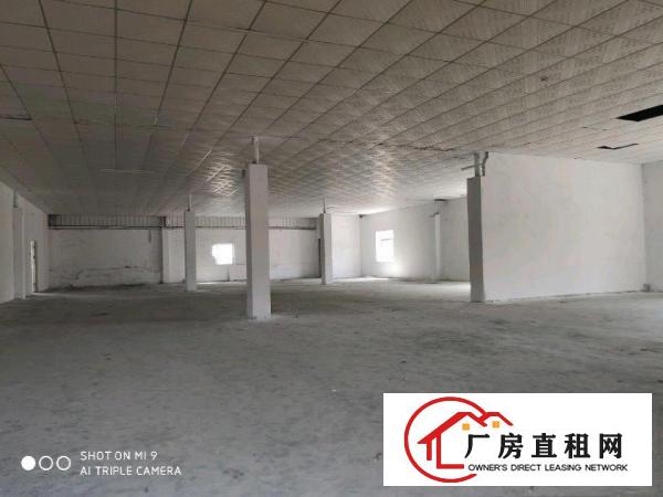  原房东九成新厂房招租，价格便宜形象好地理位置佳易招工