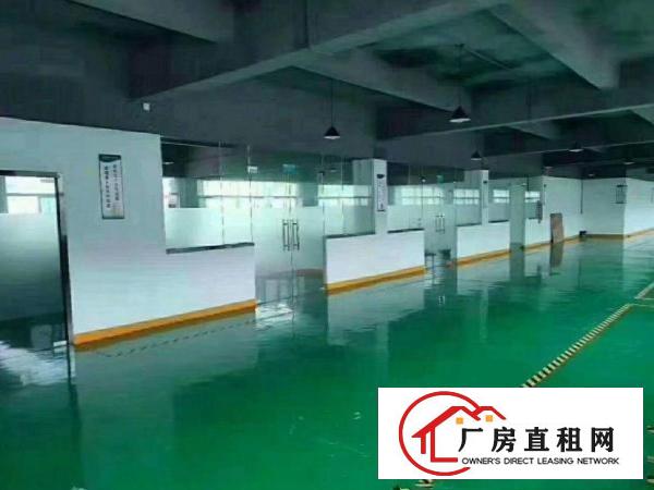  清厦原房东，一楼厂房500平出租，全新地坪漆