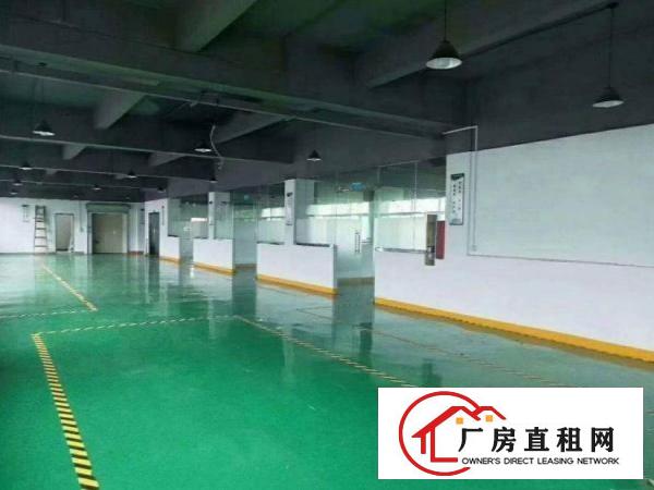  清厦原房东，一楼厂房500平出租，全新地坪漆