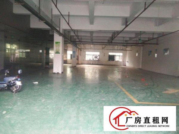  浮岗一楼厂房750平，带地坪漆，现成豪华办公