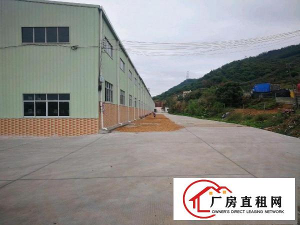  全新钢构独院厂房出租