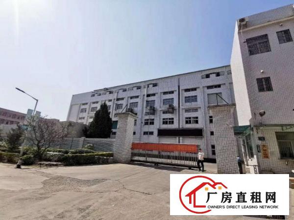  清溪高速路口花园式厂房直租