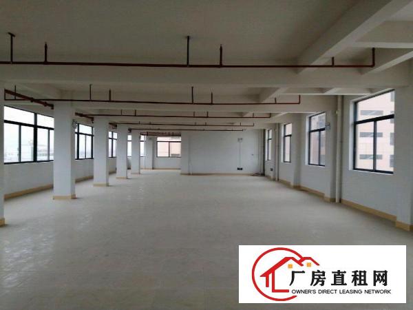  东莞清溪独院标准厂房