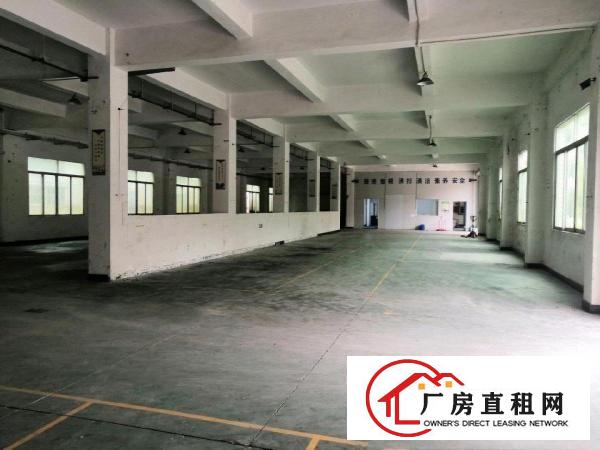  清溪三中新出原出东独栋1/2楼