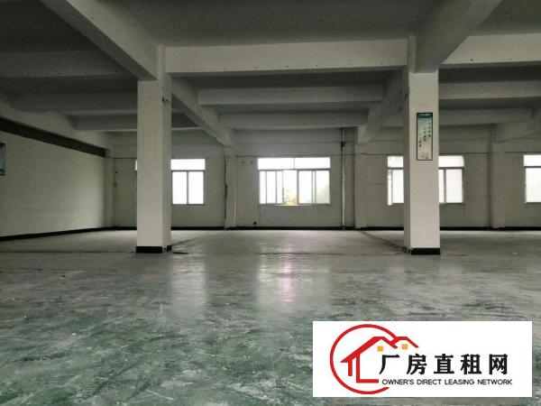  清溪三中新出原出东独栋1/2楼