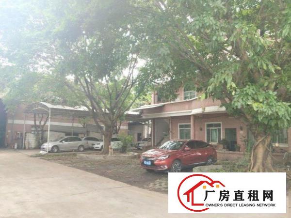  谢坑特价招租！新出钢构100平米带装修带行车厂房出租