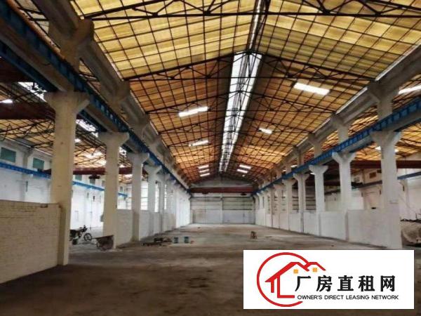  谢坑特价招租！新出钢构100平米带装修带行车厂房出租