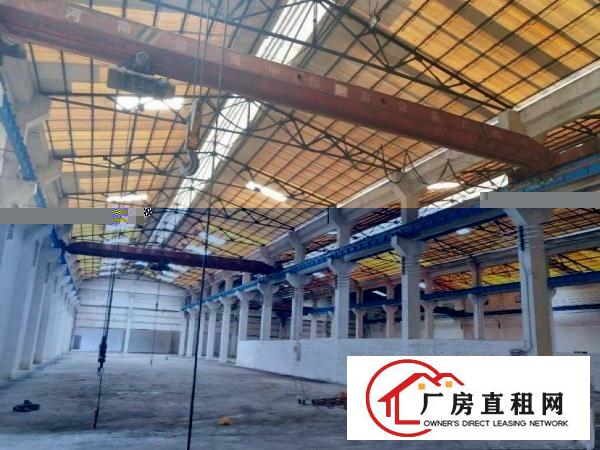  谢坑特价招租！新出钢构100平米带装修带行车厂房出租