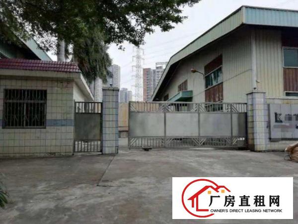  渔梁围超低价标准400平方钢构厂房出租，可做家具五金行业