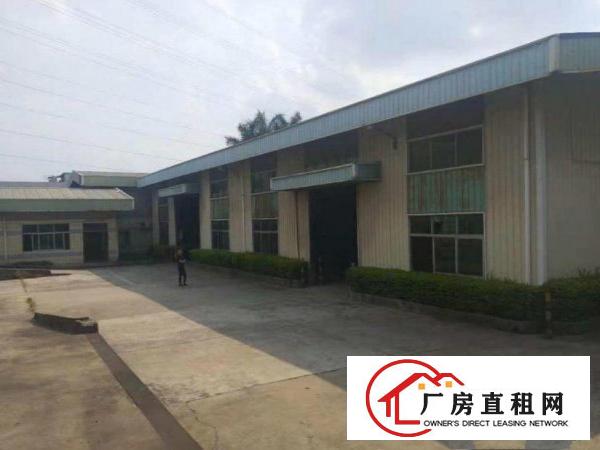  渔梁围超低价标准400平方钢构厂房出租，可做家具五金行业