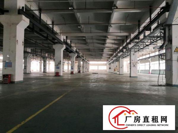  清溪新出原房东独栋一楼