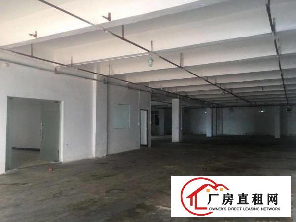  清溪九乡新出一楼厂房450平出租，证件齐全