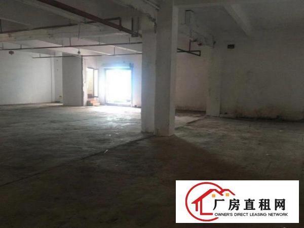  清溪九乡新出一楼厂房450平出租，证件齐全