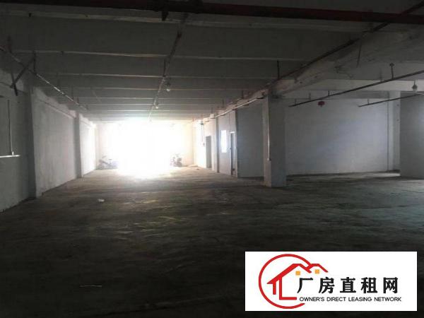  清溪九乡新出一楼厂房450平出租，证件齐全
