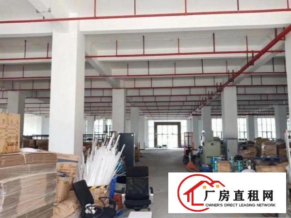  清溪青皇独门独院一楼厂房700平方带水电厂房招租