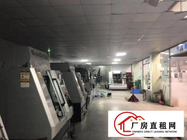  清厦新出钢构厂房880平方，高8米，电按需